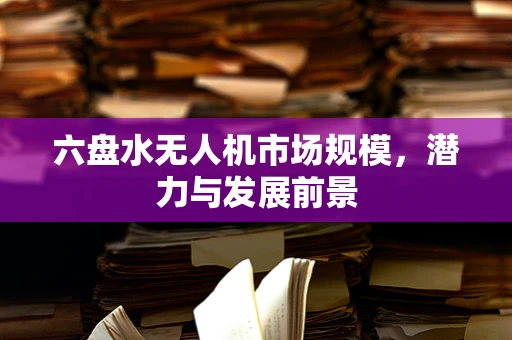 六盘水无人机市场规模，潜力与发展前景