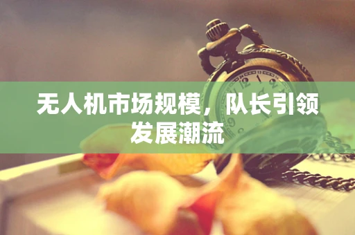 无人机市场规模，队长引领发展潮流