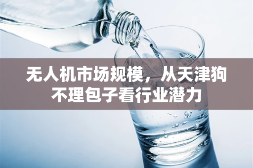 无人机市场规模，从天津狗不理包子看行业潜力