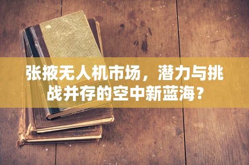 张掖无人机市场，潜力与挑战并存的空中新蓝海？