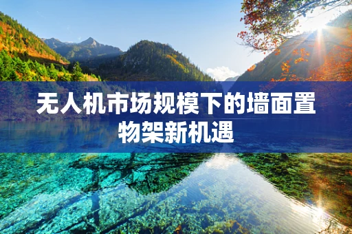 无人机市场规模下的墙面置物架新机遇