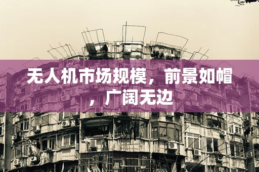 无人机市场规模，前景如帽，广阔无边