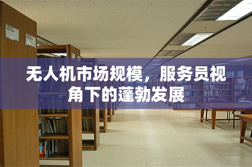无人机市场规模，服务员视角下的蓬勃发展