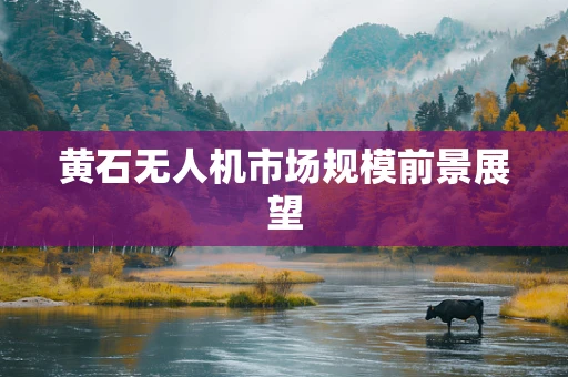 黄石无人机市场规模前景展望