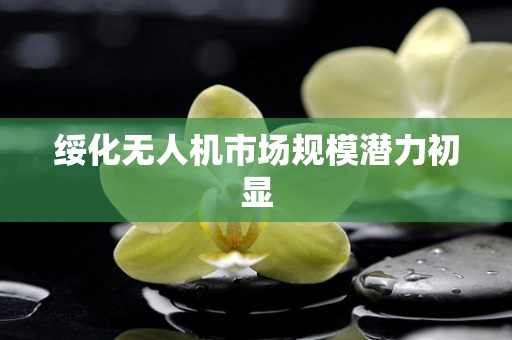 绥化无人机市场规模潜力初显