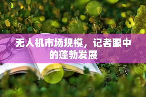 无人机市场规模，记者眼中的蓬勃发展