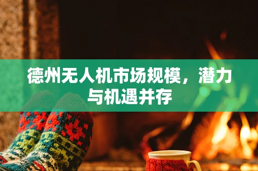 德州无人机市场规模，潜力与机遇并存