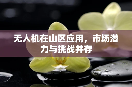 无人机在山区应用，市场潜力与挑战并存
