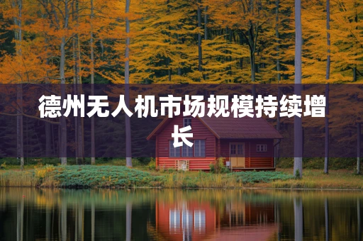 德州无人机市场规模持续增长