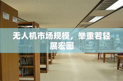 无人机市场规模，举重若轻展宏图