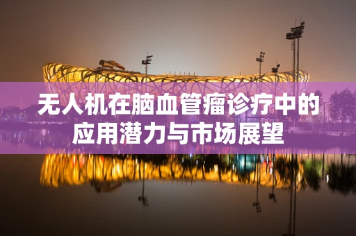 无人机在脑血管瘤诊疗中的应用潜力与市场展望