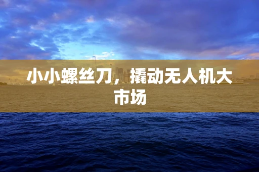小小螺丝刀，撬动无人机大市场