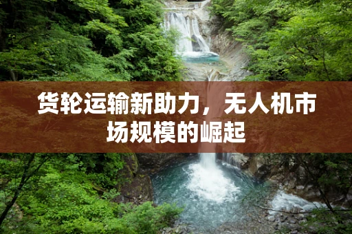 货轮运输新助力，无人机市场规模的崛起