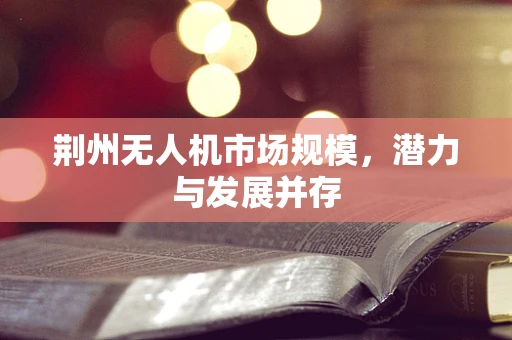 荆州无人机市场规模，潜力与发展并存