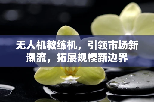 无人机教练机，引领市场新潮流，拓展规模新边界