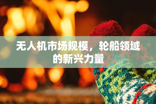 无人机市场规模，轮船领域的新兴力量