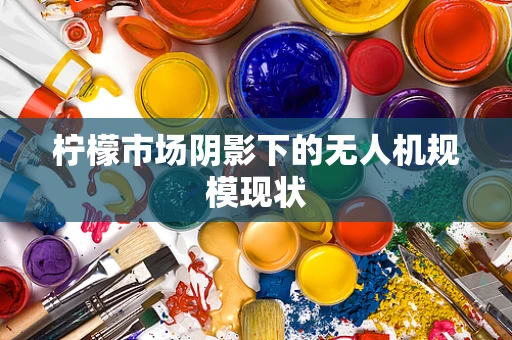 柠檬市场阴影下的无人机规模现状
