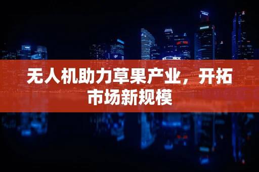 无人机助力草果产业，开拓市场新规模