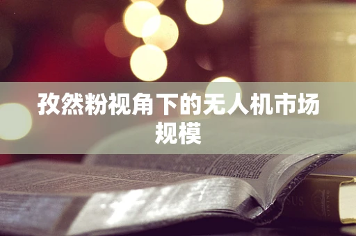 孜然粉视角下的无人机市场规模