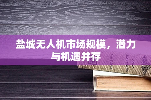盐城无人机市场规模，潜力与机遇并存