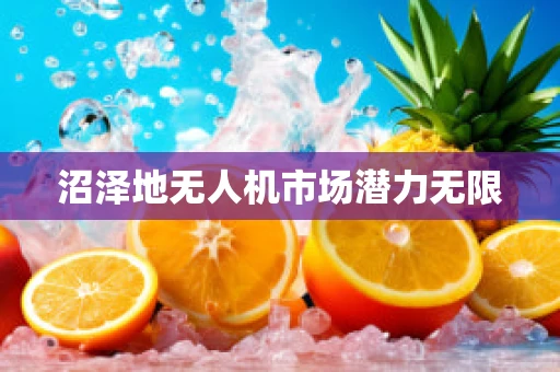 沼泽地无人机市场潜力无限