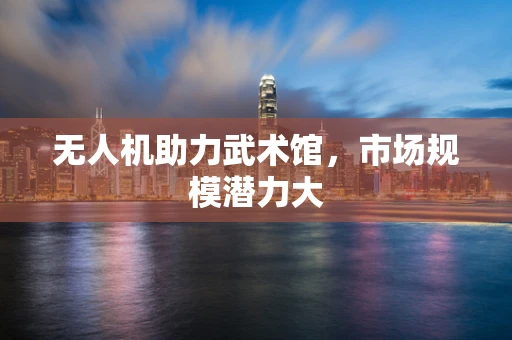无人机助力武术馆，市场规模潜力大