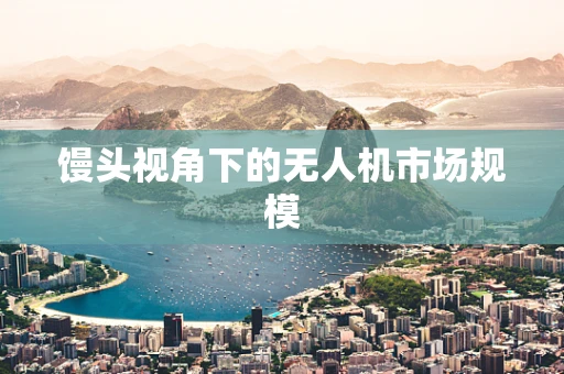 馒头视角下的无人机市场规模