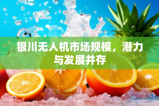 银川无人机市场规模，潜力与发展并存