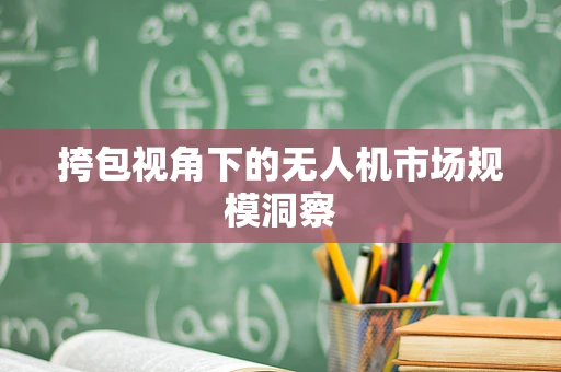 挎包视角下的无人机市场规模洞察