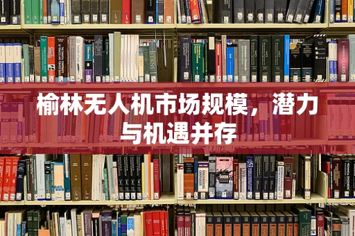 榆林无人机市场规模，潜力与机遇并存