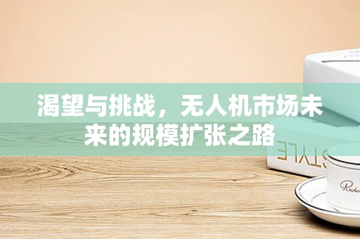 渴望与挑战，无人机市场未来的规模扩张之路