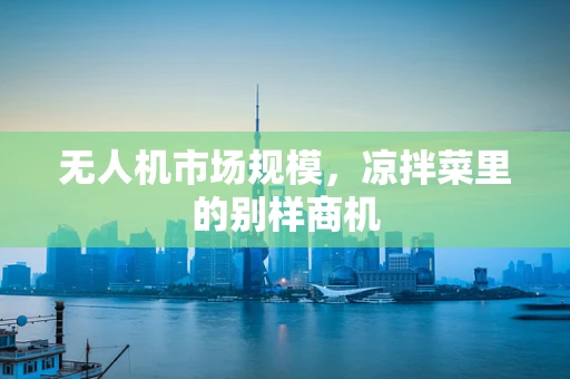 无人机市场规模，凉拌菜里的别样商机