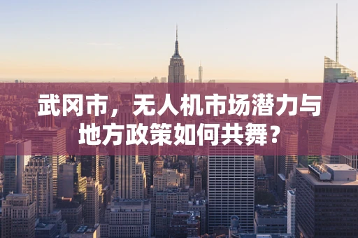 武冈市，无人机市场潜力与地方政策如何共舞？