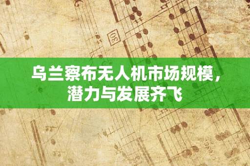 乌兰察布无人机市场规模，潜力与发展齐飞