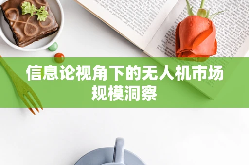 信息论视角下的无人机市场规模洞察