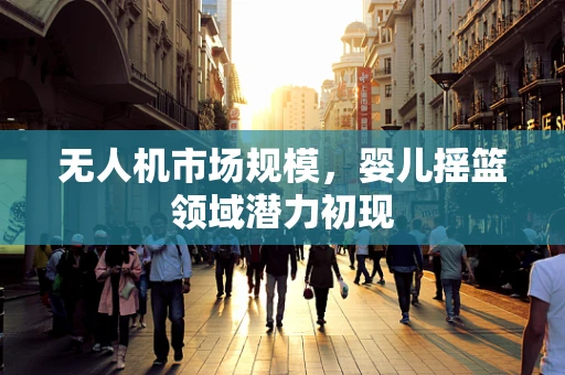 无人机市场规模，婴儿摇篮领域潜力初现