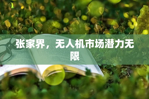 张家界，无人机市场潜力无限