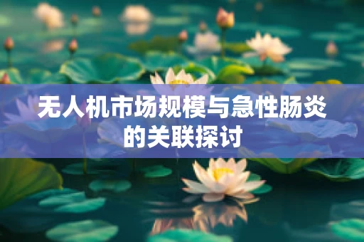 无人机市场规模与急性肠炎的关联探讨