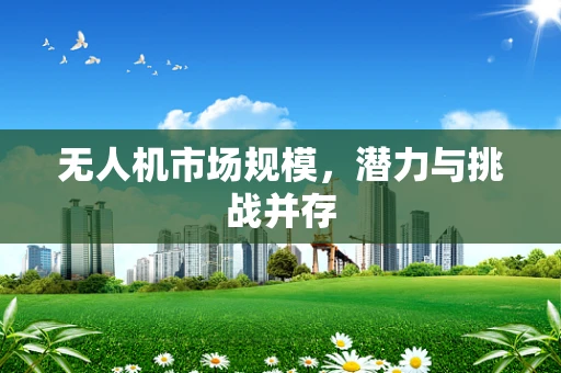 无人机市场规模，潜力与挑战并存