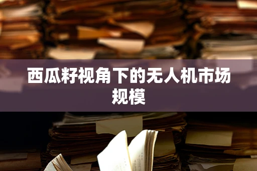 西瓜籽视角下的无人机市场规模