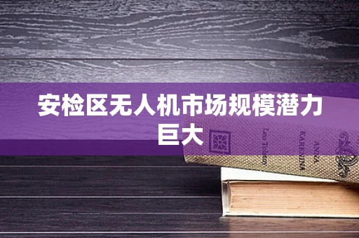 安检区无人机市场规模潜力巨大