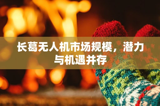 长葛无人机市场规模，潜力与机遇并存