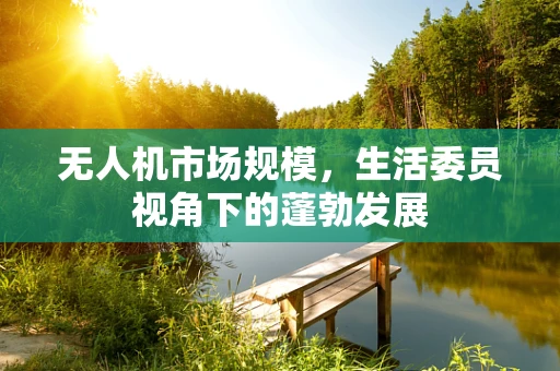 无人机市场规模，生活委员视角下的蓬勃发展