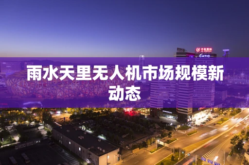 雨水天里无人机市场规模新动态