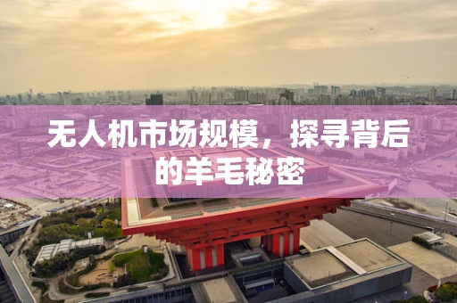 无人机市场规模，探寻背后的羊毛秘密