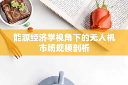 能源经济学视角下的无人机市场规模剖析