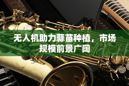 无人机助力蒜苗种植，市场规模前景广阔