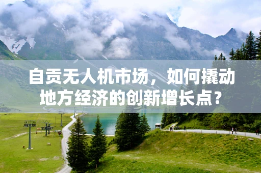 自贡无人机市场，如何撬动地方经济的创新增长点？