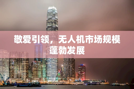 敬爱引领，无人机市场规模蓬勃发展