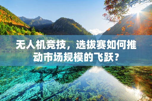 无人机竞技，选拔赛如何推动市场规模的飞跃？